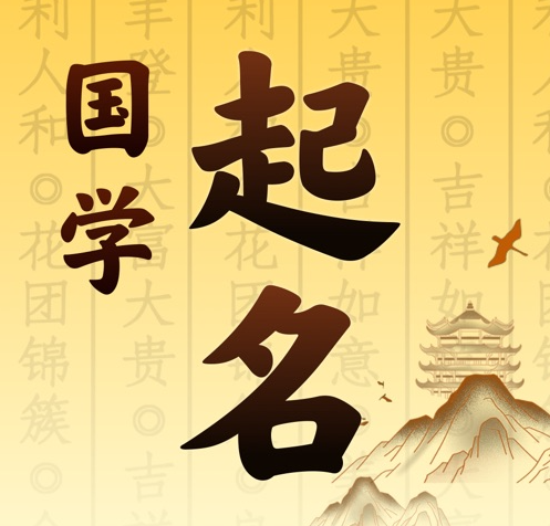周口国学起名 人工起名一对一